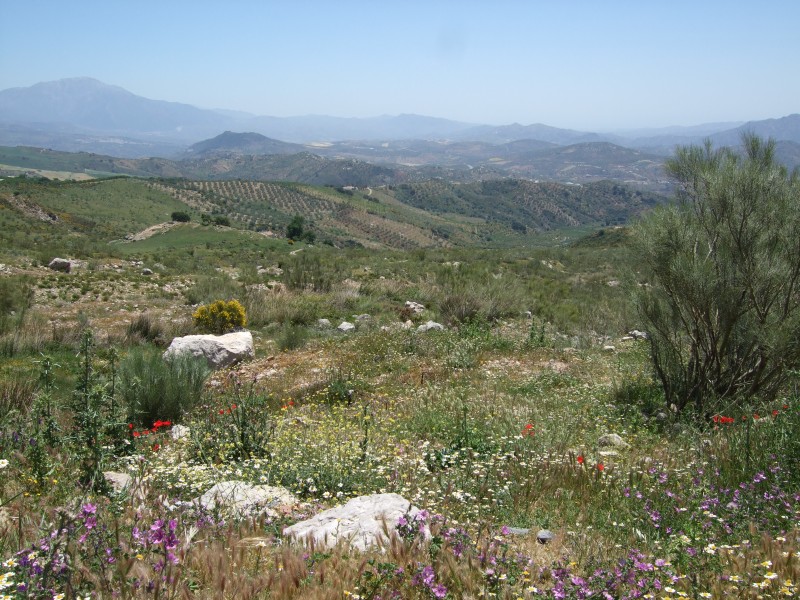 Anadalusien 2009 - 0552 